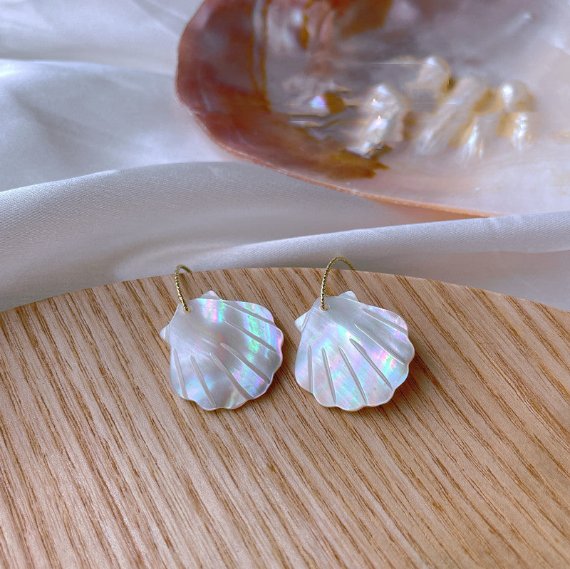 Beautiful Seashell Earring