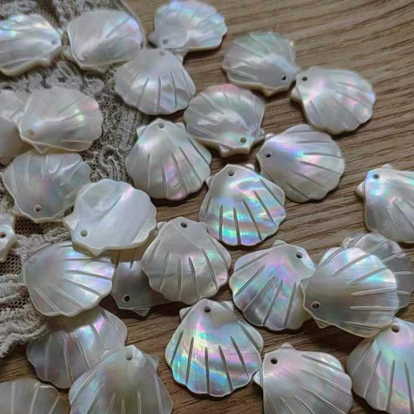 Beautiful Seashell Earring